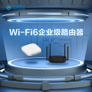 企业组网-WiFi6企业级路由器